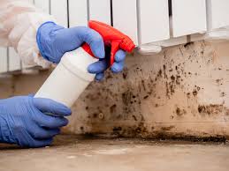 Best Indoor Air Quality Assessment in Raymond, WA